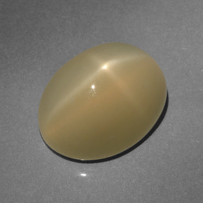 6,64 ctw natürlicher brauner Stern-Mondstein, Oval Schliff, Lichtdurchlässig