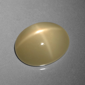 9,17 ctw natürlicher Helles Kaffeebraun Sternmondstein, Oval Schliff, Lichtdurchlässig