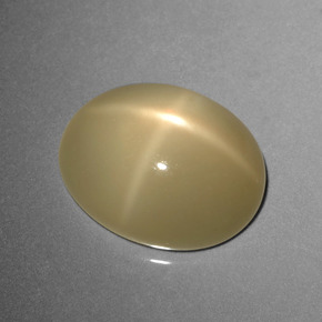 9,17 ctw natürlicher Helles Kaffeebraun Sternmondstein, Oval Schliff, Lichtdurchlässig