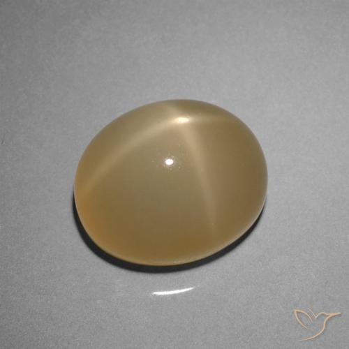 8.51ct Natürlicher gelblich-braun Sternmondstein, Oval, Lichtdurchlässig