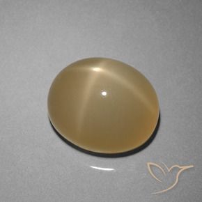 9,17 ctw natürlicher gelblich-braun Sternmondstein, Oval, Lichtdurchlässig