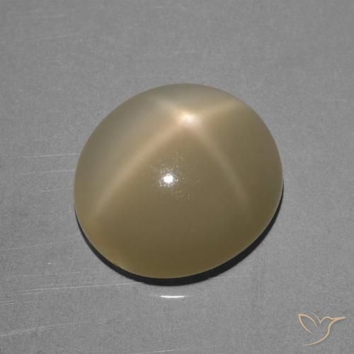 6.68ct Natürlicher Hellgelbbraun Sternmondstein, Oval, Lichtdurchlässig, Photo A