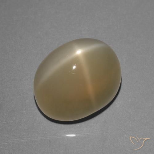 8.39ct Natürlicher Hellbraun Sternmondstein, Oval, Lichtdurchlässig