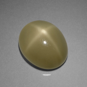 7,29 ctw natürlicher grüner Stern-Mondstein, Oval Schliff, Lichtdurchlässig