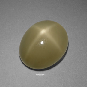 7,29 ctw natürlicher grüner Stern-Mondstein, Oval Schliff, Lichtdurchlässig