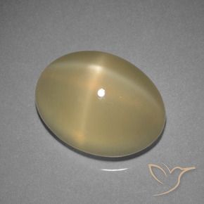 9,17 ctw natürlicher Helles warmes Braun Sternmondstein, Oval, Lichtdurchlässig
