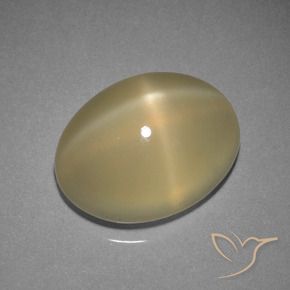 9,17 ctw natürlicher Helles warmes Braun Sternmondstein, Oval, Lichtdurchlässig