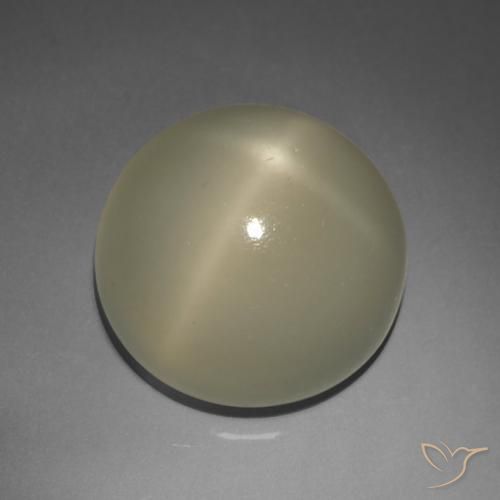 9.02ct Natürlicher Erdiges Braun Sternmondstein, Runden, Lichtdurchlässig