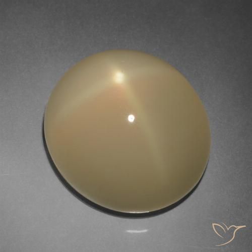 11.20ct Natürlicher Helles Tortilla-Braun Sternmondstein, Oval, Lichtdurchlässig, Photo A