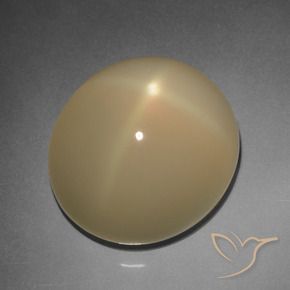 9,17 ctw natürlicher Helles Tortilla-Braun Sternmondstein, Oval, Lichtdurchlässig