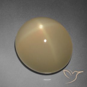 9,17 ctw natürlicher Helles Tortilla-Braun Sternmondstein, Oval, Lichtdurchlässig