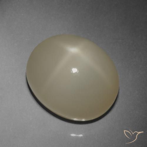 9.42ct Natürlicher Helles Kaffeebraun Sternmondstein, Oval, Lichtdurchlässig