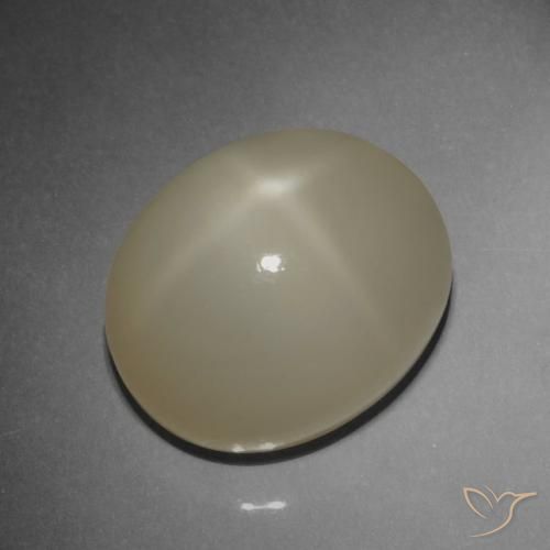 9,17 ctw natürlicher Helles Kaffeebraun Sternmondstein, Oval, Lichtdurchlässig