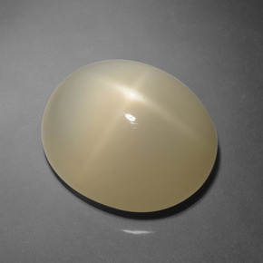 12,03 ctw natürlicher brauner Stern-Mondstein, Oval Schliff, Lichtdurchlässig