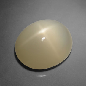 12,03 ctw natürlicher brauner Stern-Mondstein, Oval Schliff, Lichtdurchlässig