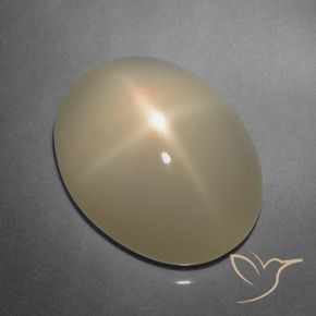 9,17 ctw natürlicher Hellbraun Sternmondstein, Oval Schliff, Lichtdurchlässig