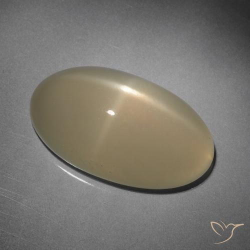 10.15ct Natürlicher Hellbraun Sternmondstein, Oval, Lichtdurchlässig, Photo A