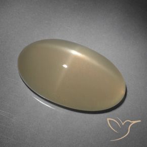 9,17 ctw natürlicher Hellbraun Sternmondstein, Oval, Lichtdurchlässig