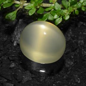 9,17 ctw natürlicher hellgelb Sternmondstein, Oval Schliff, Lichtdurchlässig