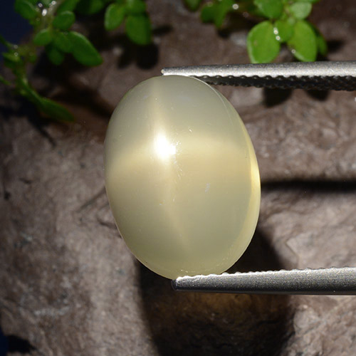 7,58 ctw natürlicher gelber Stern-Mondstein, Oval Schliff, Lichtdurchlässig