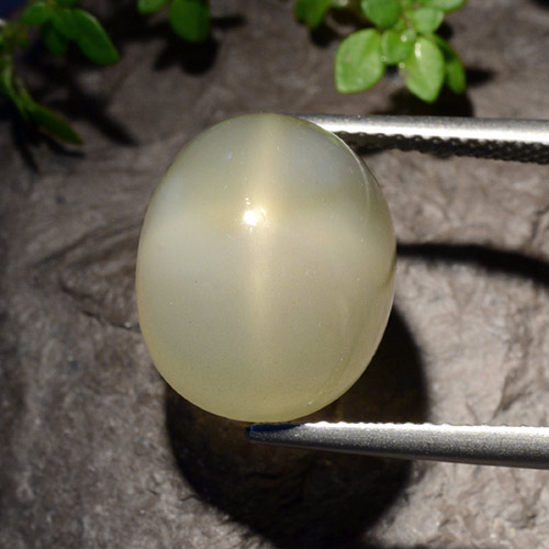 11,40 ctw natürlicher weißer Stern-Mondstein, Oval Schliff, Lichtdurchlässig