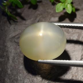 11,40 ctw natürlicher weißer Stern-Mondstein, Oval Schliff, Lichtdurchlässig