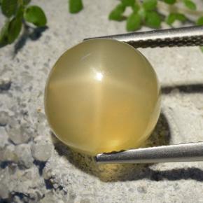 9,17 ctw natürlicher Mittelgelb Sternmondstein, Rund Schliff, Lichtdurchlässig