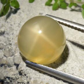 9,17 ctw natürlicher Mittelgelb Sternmondstein, Rund Schliff, Lichtdurchlässig