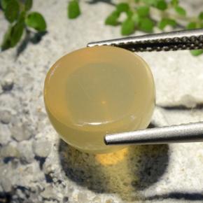 9,17 ctw natürlicher Mittelgelb Sternmondstein, Rund Schliff, Lichtdurchlässig