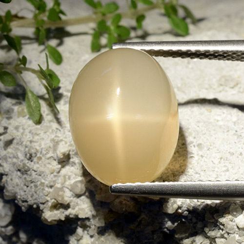7,68 ctw natürlicher gelber Stern-Mondstein, Oval Schliff, Lichtdurchlässig