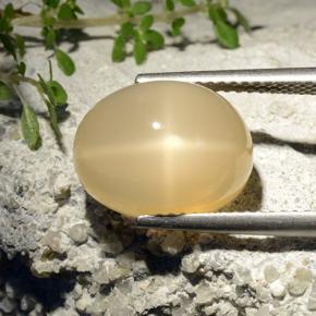 7,68 ctw natürlicher gelber Stern-Mondstein, Oval Schliff, Lichtdurchlässig