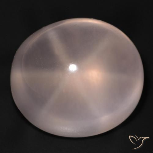 48.94ct Natürlicher Mittelrosa Sternrosenquarz, Oval, Transparent