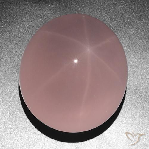 263.05ct Natürlicher rose-rosa Sternrosenquarz, Oval, Lichtdurchlässig