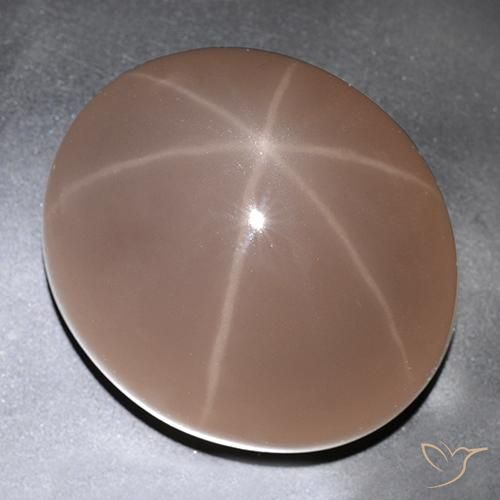 529.63ct Natürlicher Marienkäfer Rot Sternrosenquarz, Oval, Lichtdurchlässig