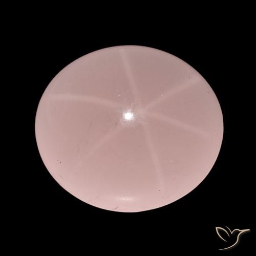 62.47ct Rosa Ton Sternrosenquarz, Oval, Lichtdurchlässig