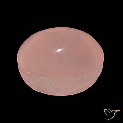 9,17 ctw natürlicher rose-rosa Sternrosenquarz, Oval, Lichtdurchlässig