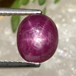 3,41 ctw natürlicher roter Stern-Rubin, Oval Schliff, Lichtundurchlässig