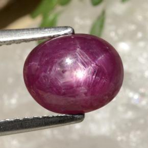 3,41 ctw natürlicher roter Stern-Rubin, Oval Schliff, Lichtundurchlässig