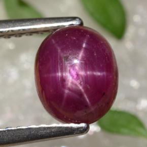 2,91 ctw natürlicher roter Stern-Rubin, Oval Schliff, Lichtundurchlässig