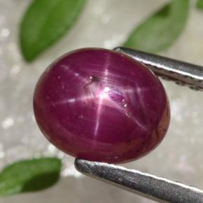 2,91 ctw natürlicher roter Stern-Rubin, Oval Schliff, Lichtundurchlässig