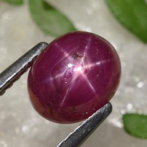 2,91 ctw natürlicher roter Stern-Rubin, Oval Schliff, Lichtundurchlässig