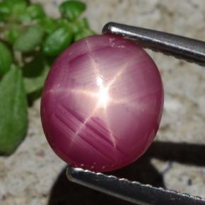 3,05 ctw natürlicher roter Stern-Rubin, Oval Schliff, Lichtundurchlässig