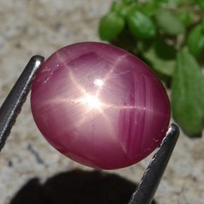 3,05 ctw natürlicher roter Stern-Rubin, Oval Schliff, Lichtundurchlässig
