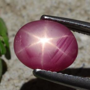 3,05 ctw natürlicher roter Stern-Rubin, Oval Schliff, Lichtundurchlässig