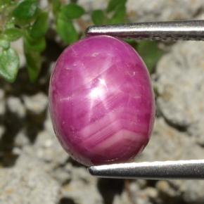 4,79 ctw natürlicher roter Stern-Rubin, Oval Schliff, Lichtundurchlässig