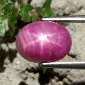 4,79 ctw natürlicher roter Stern-Rubin, Oval Schliff, Lichtundurchlässig