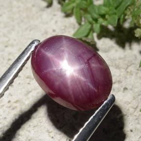 2,68 ctw natürlicher roter Stern-Rubin, Oval Schliff, Lichtundurchlässig
