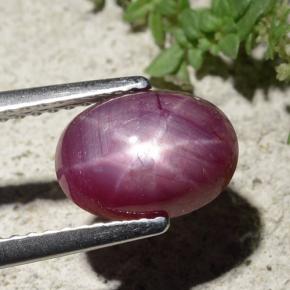 2,68 ctw natürlicher roter Stern-Rubin, Oval Schliff, Lichtundurchlässig
