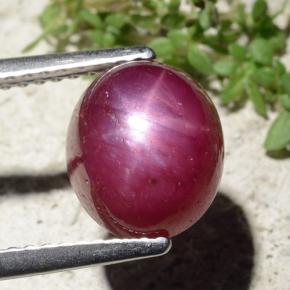 5,01 ctw natürlicher roter Stern-Rubin, Oval Schliff, Lichtundurchlässig