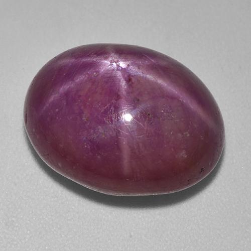 16,92 ctw natürlicher roter Stern-Rubin, Oval Schliff, Lichtundurchlässig